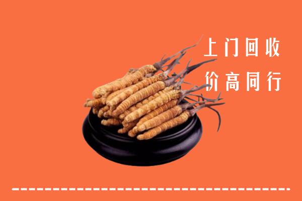高价求购：石嘴山回收散虫草