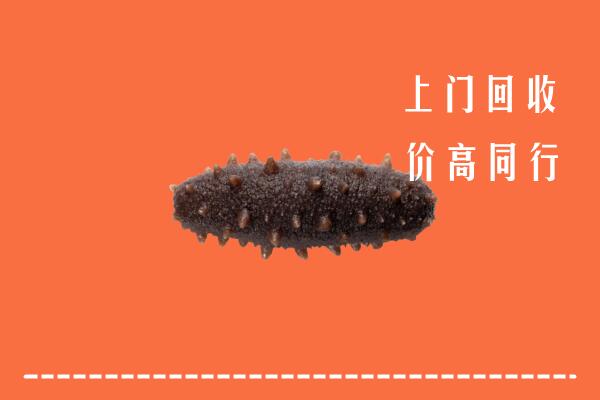 高价求购：石嘴山回收海参